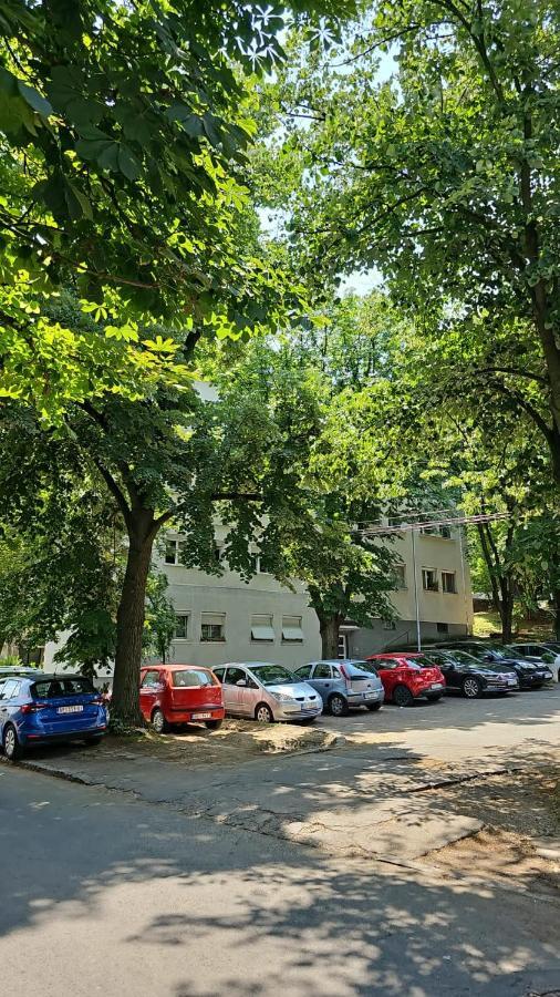 Apartman Maja 베오그라드 외부 사진
