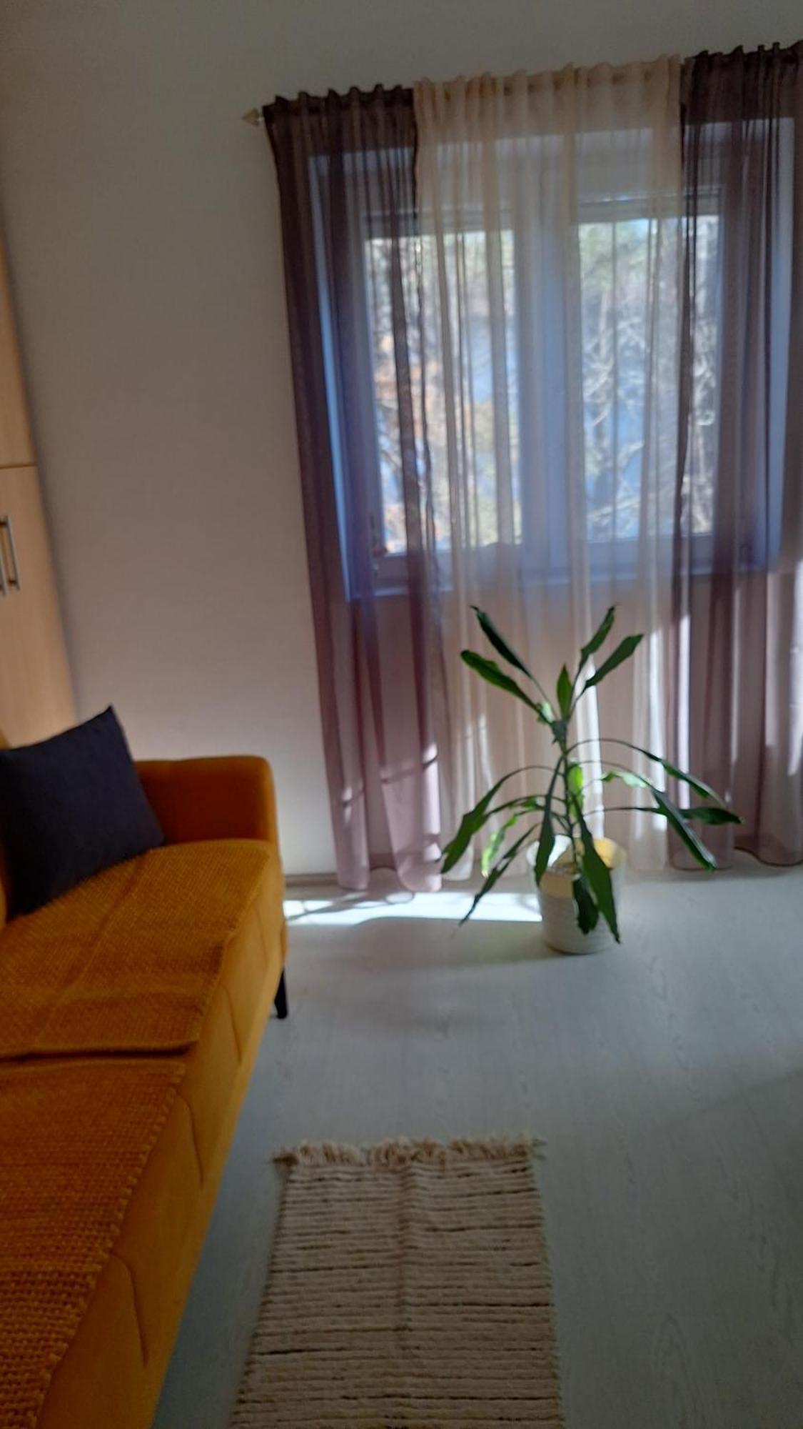 Apartman Maja 베오그라드 외부 사진