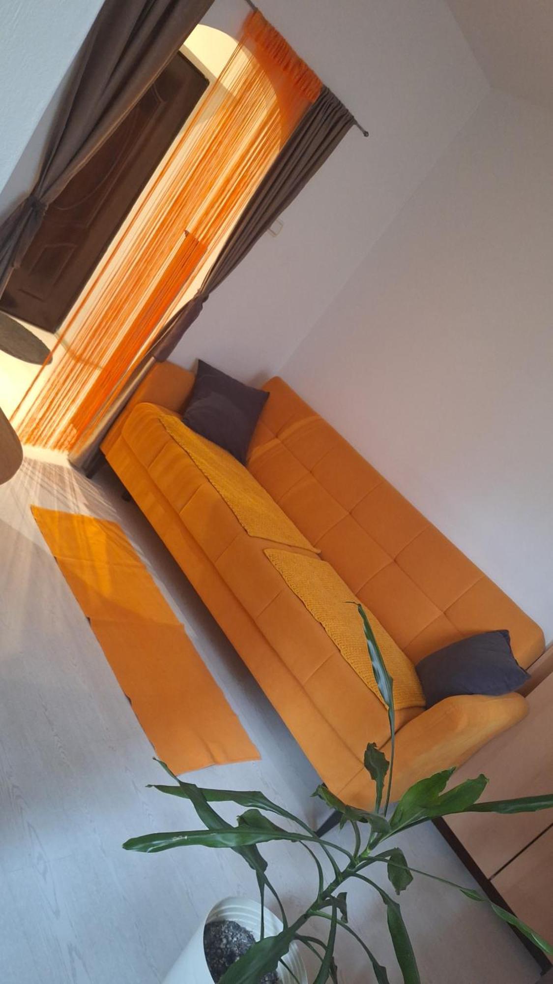 Apartman Maja 베오그라드 외부 사진