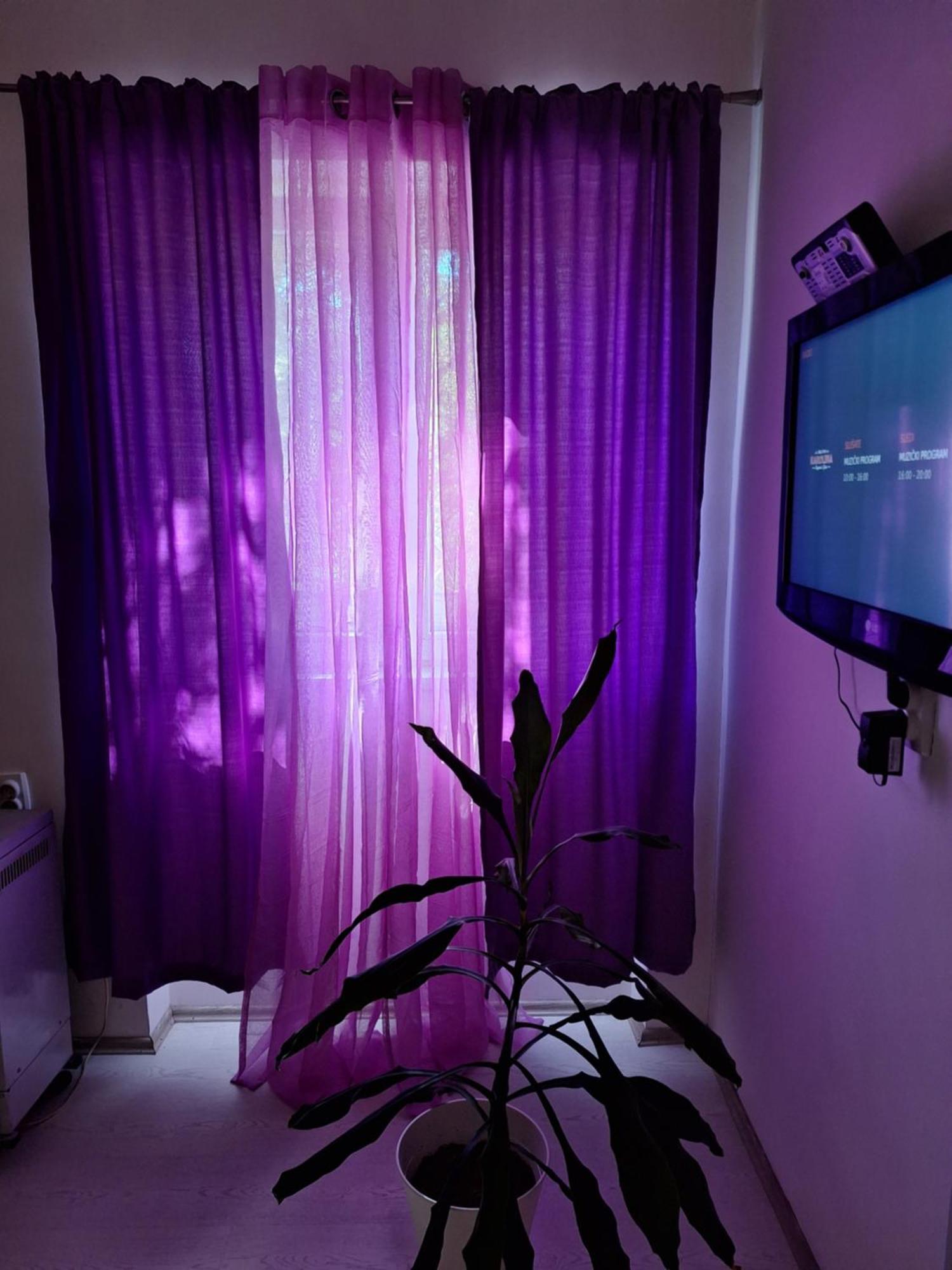 Apartman Maja 베오그라드 외부 사진